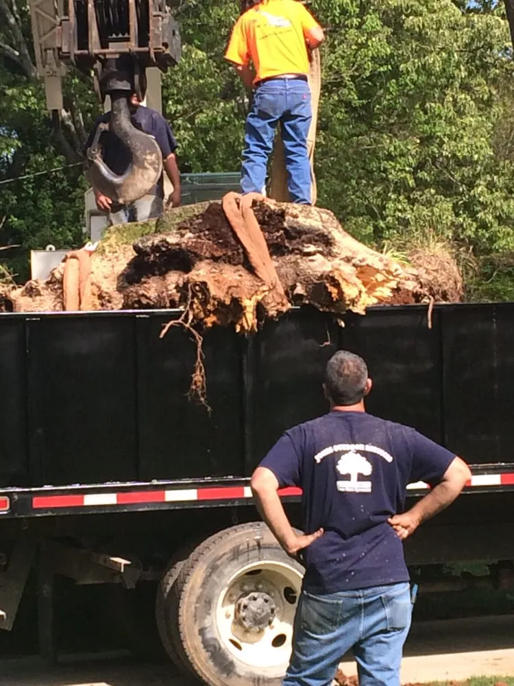 Trusted landscape installation experts serving Decatur, AL - Jones Outdoor Service