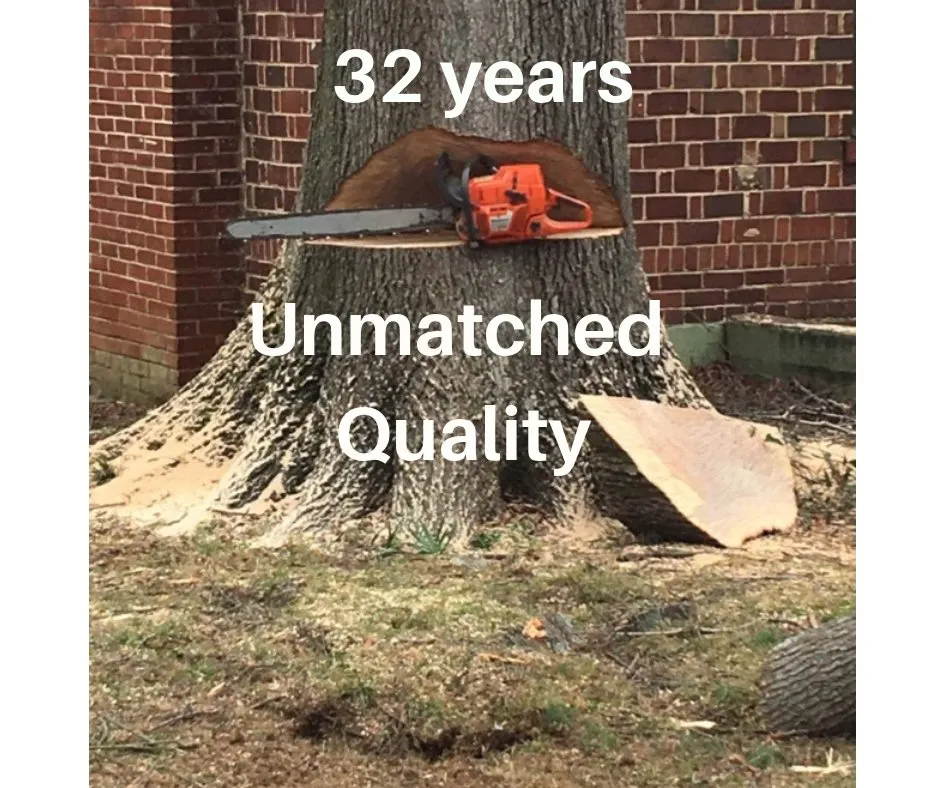 Custom outdoor landscaping experts serving Decatur, AL - Jones Outdoor Service