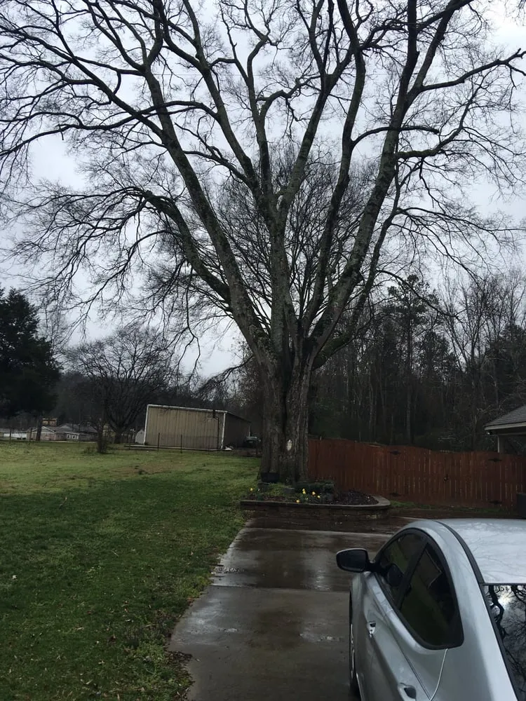 Local yard cleanup service in Decatur, AL by Jones Outdoor Service