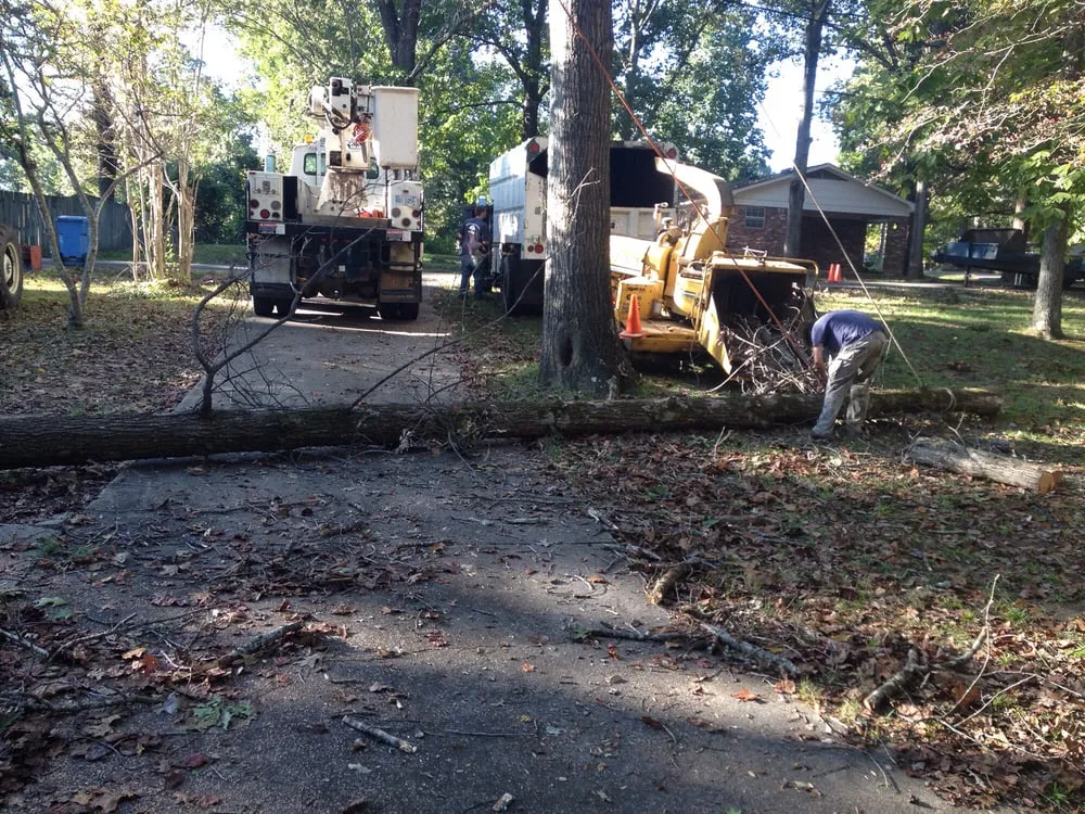 Local landscaping services for beautiful yards across Decatur, AL - Jones Outdoor Service