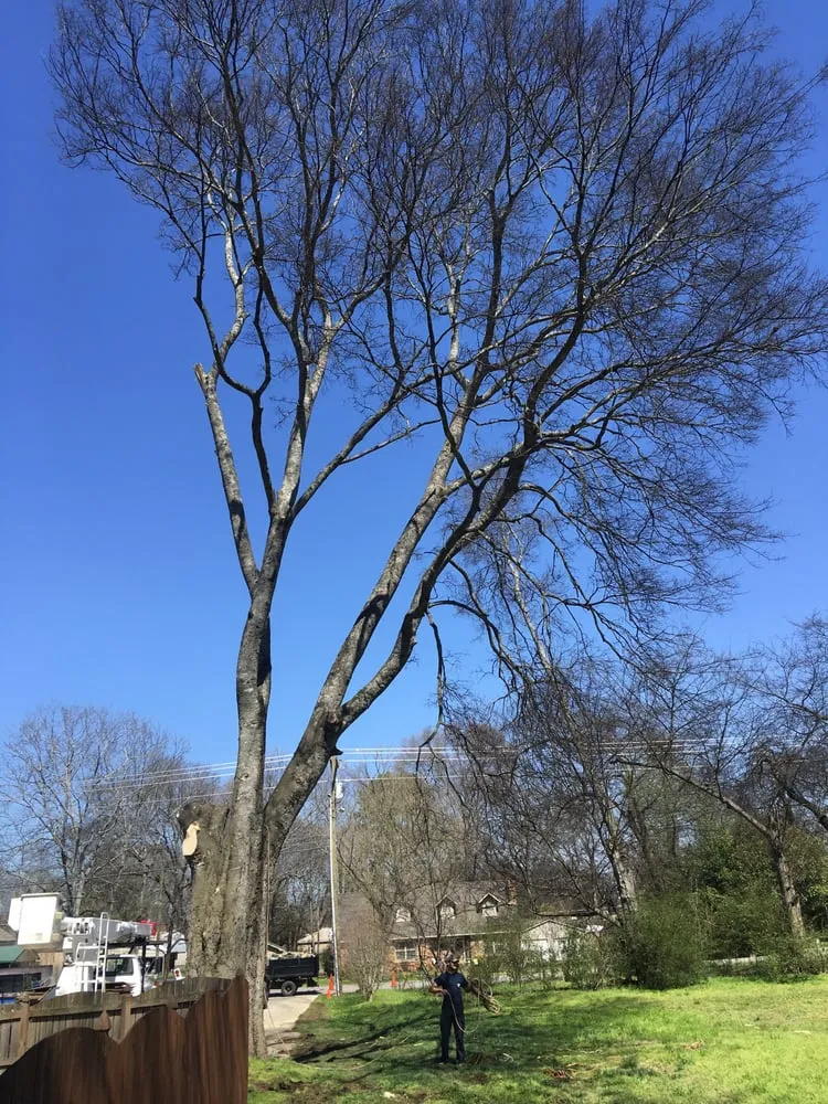 Local landscape installation in Decatur, AL by Jones Outdoor Service