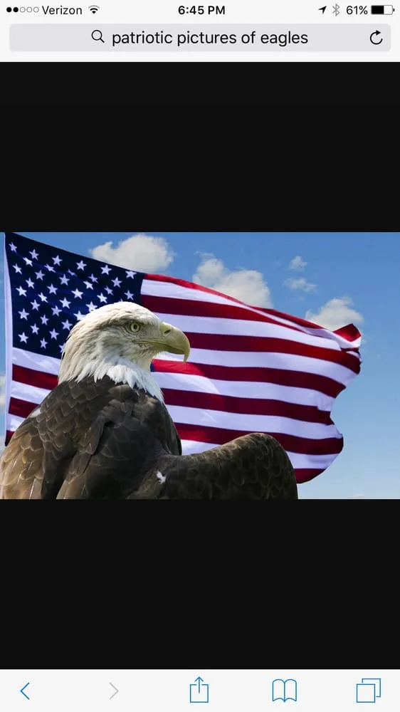 Expert landscaping services in Decatur, AL by Jones Outdoor Service