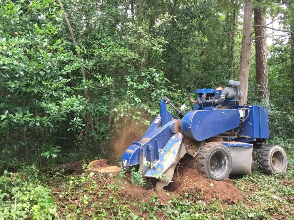 Professional yard maintenance experts serving Decatur, AL - Jones Outdoor Service