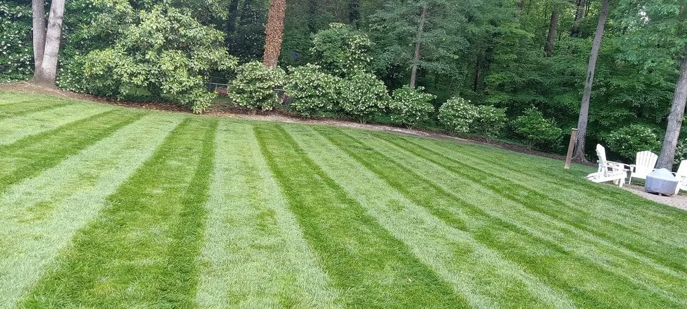 Trusted outdoor landscaping for year-round maintenance in Reidsville, NC by Jones Perfect Lawns An More