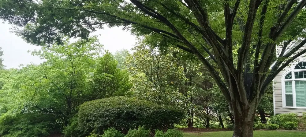 Trusted outdoor landscaping near you in Reidsville, NC by Jones Perfect Lawns An More