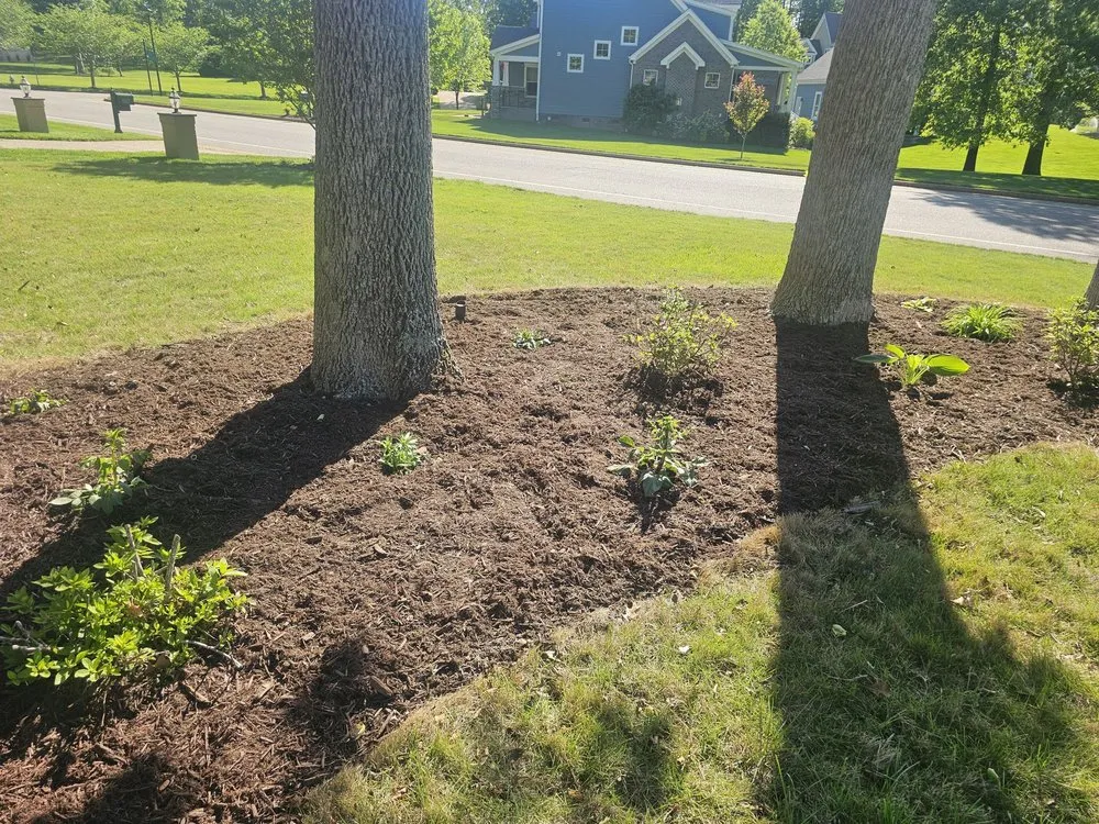 Top-rated residential landscaping for beautiful yards across Smithfield, VA - Jones Pressure Washing & Landscaping