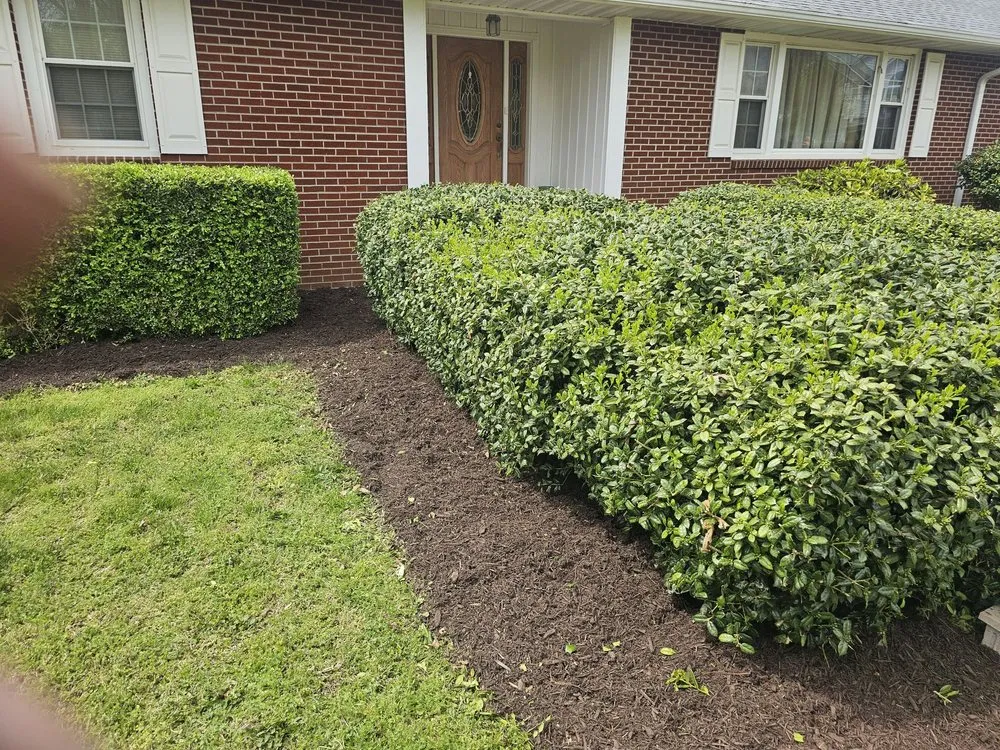 Professional landscape installation for homes across Smithfield, VA - Jones Pressure Washing & Landscaping