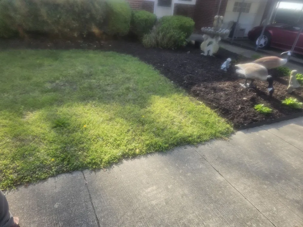 Affordable outdoor landscaping in Smithfield, VA - Jones Pressure Washing & Landscaping