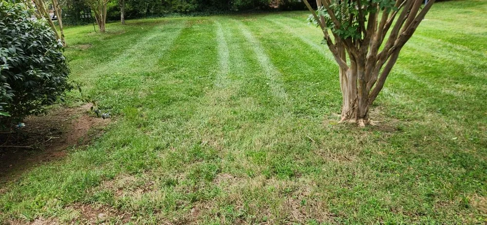Professional yard cleanup service for outdoor upgrades across East Bend, NC - Jones Property Services