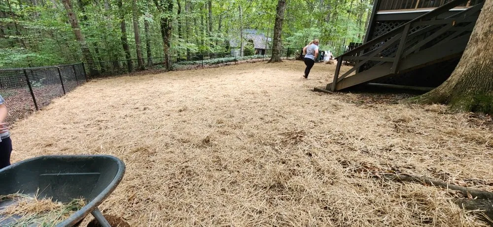 Trusted residential landscaping near you across East Bend, NC - Jones Property Services