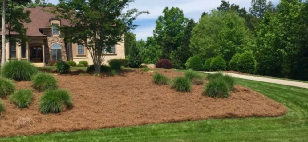 Affordable residential landscaping for year-round maintenance across East Bend, NC - Jones Property Services