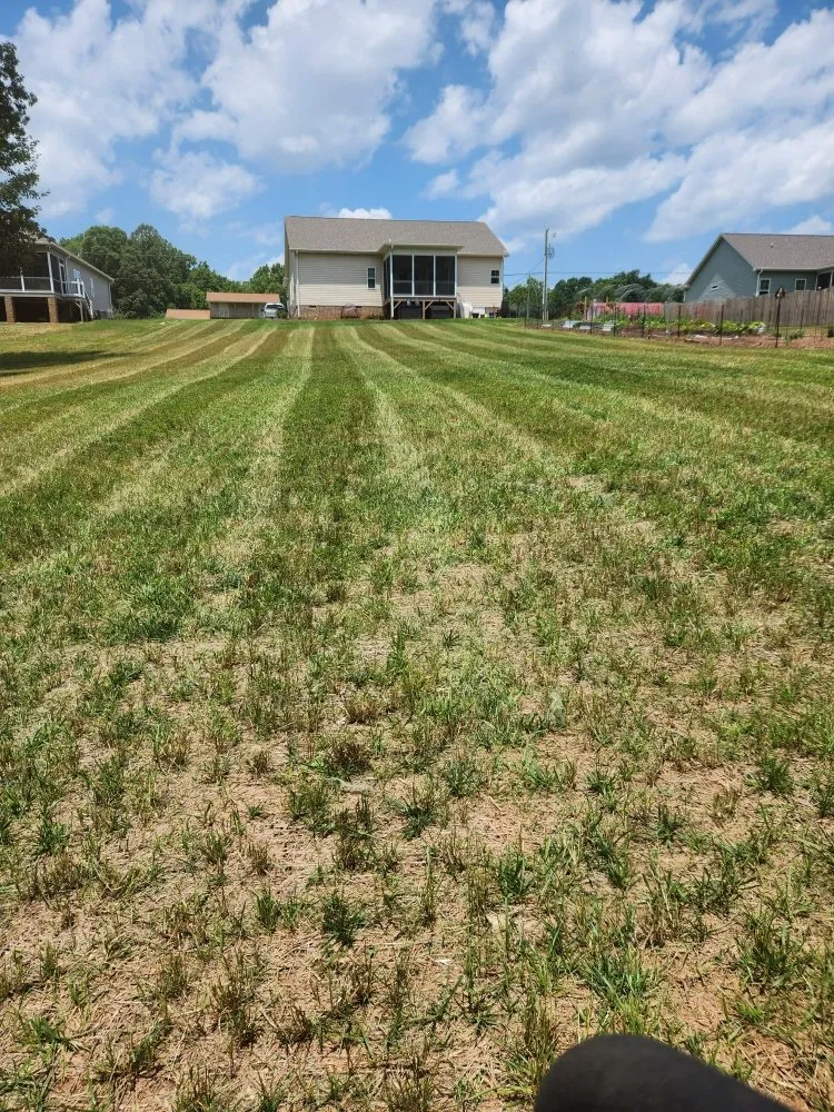Professional yard maintenance in East Bend, NC - Jones Property Services