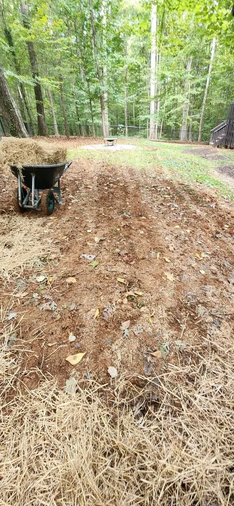 Professional outdoor landscaping experts serving East Bend, NC - Jones Property Services