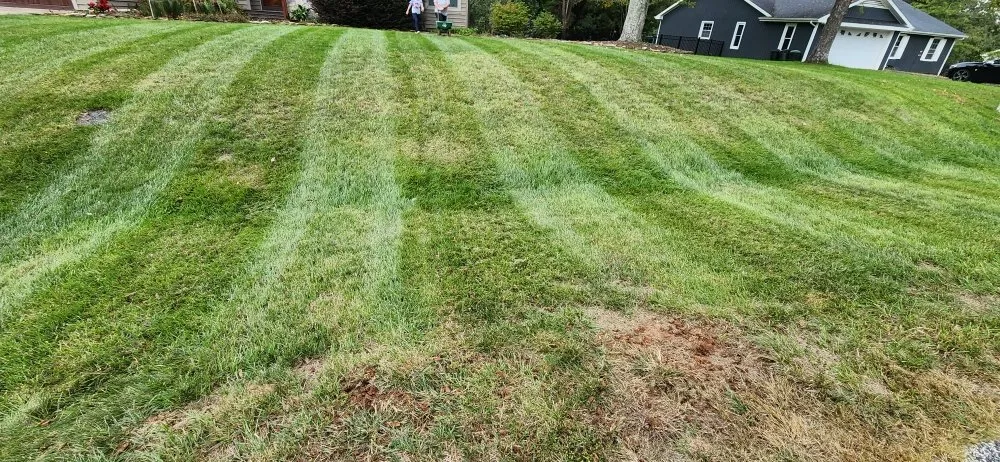 Local garden landscaping in East Bend, NC by Jones Property Services