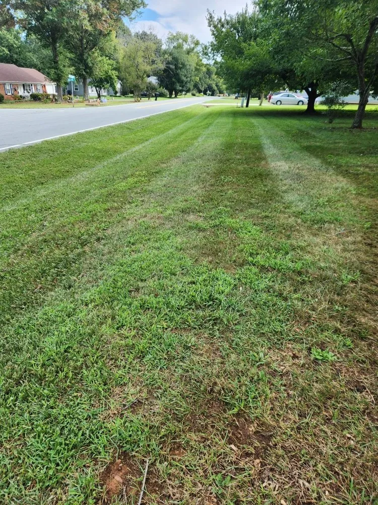 Reliable landscaping services in East Bend, NC - Jones Property Services