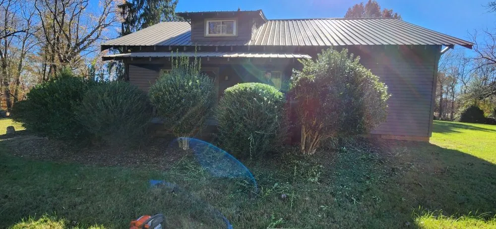 Professional landscaping services for outdoor upgrades across East Bend, NC - Jones Property Services
