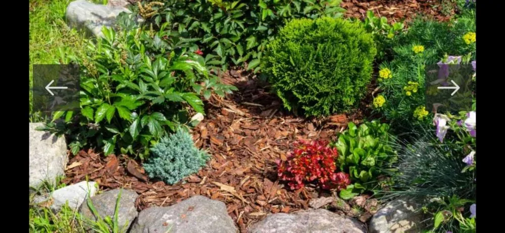 Custom outdoor landscaping in East Bend, NC by Jones Property Services