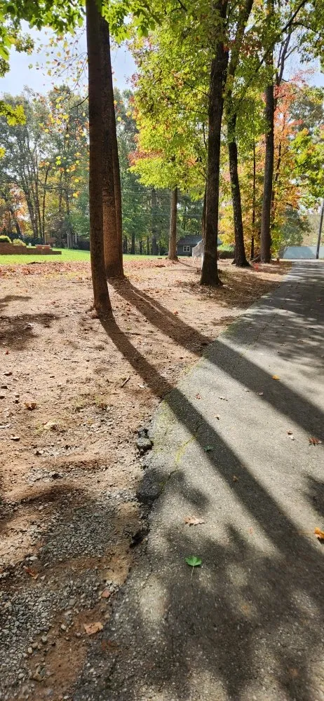 Local outdoor landscaping for outdoor upgrades in East Bend, NC by Jones Property Services