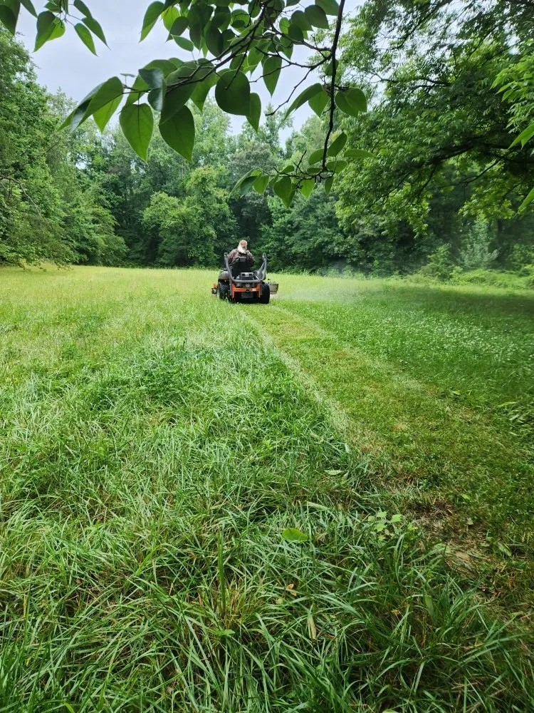 Affordable landscape installation in East Bend, NC - Jones Property Services