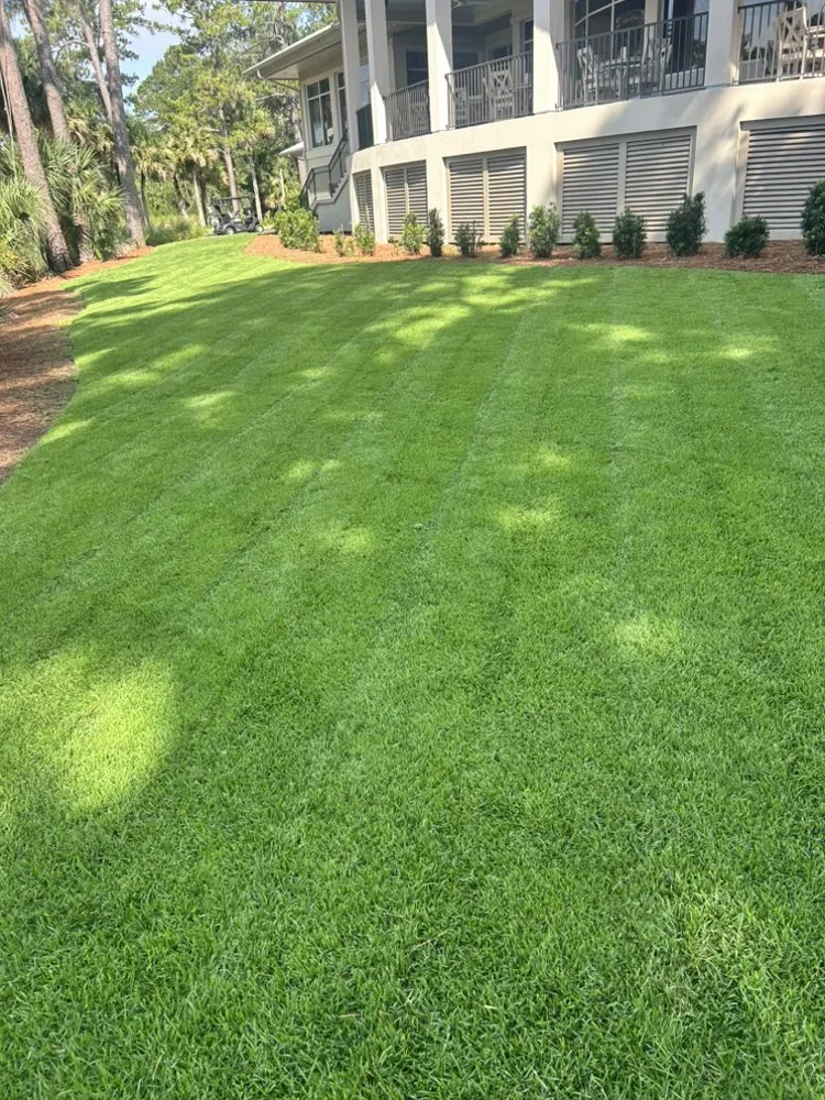 Top-rated outdoor landscaping with custom design across Ridgeland, SC - Jones Quality Multi Service