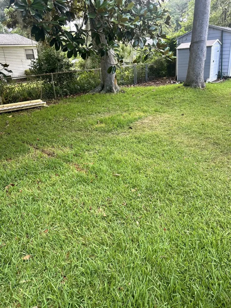 Expert outdoor landscaping in Ridgeland, SC by Jones Quality Multi Service