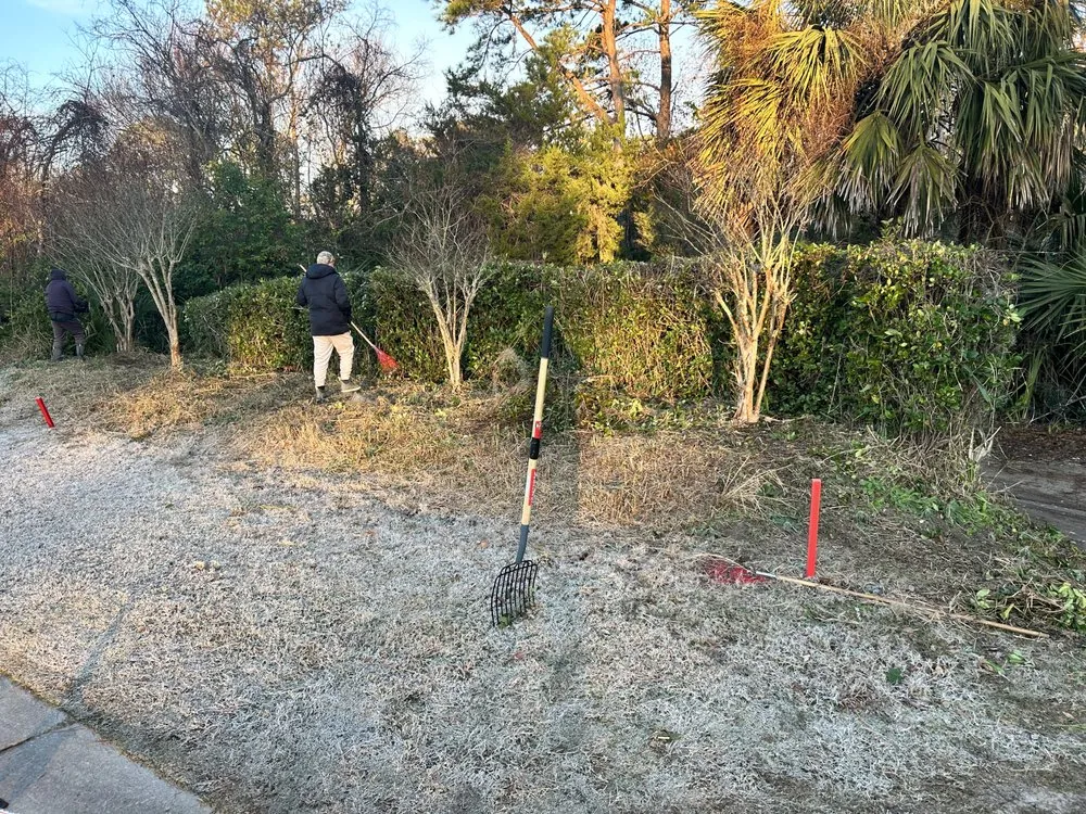 Reliable landscape installation for homes across Ridgeland, SC - Jones Quality Multi Service