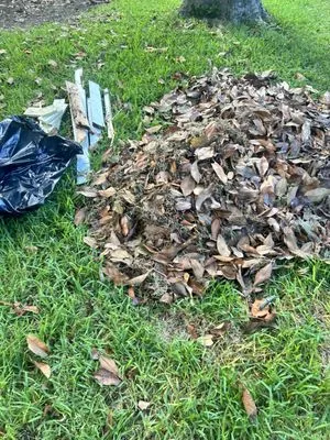 Jones Quality Multi Service