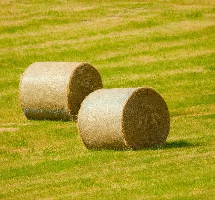 Reliable outdoor landscaping in Lexington, NC by Jones Ranch & Tractor Services