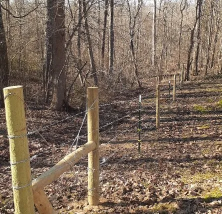 Custom yard maintenance for outdoor upgrades across Lexington, NC - Jones Ranch & Tractor Services