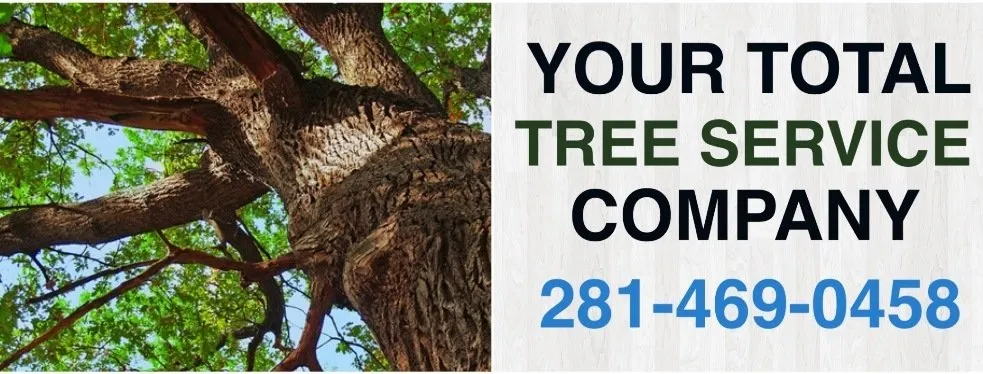 Custom yard cleanup service in Houston, TX - Jones Road Tree Service