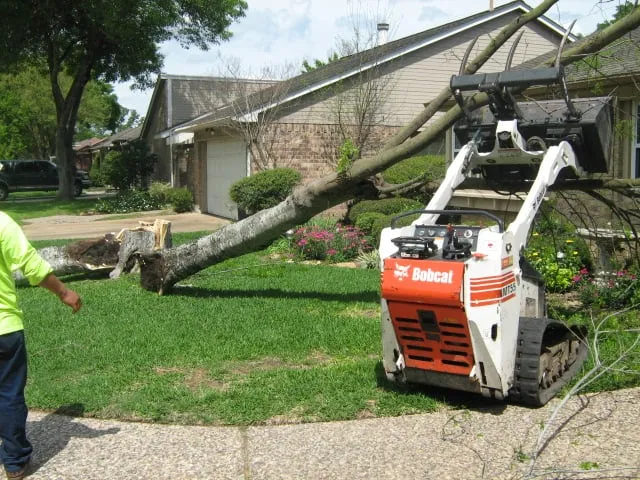 Local outdoor landscaping in Houston, TX by Jones Road Tree Service