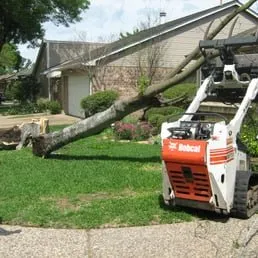 Reliable lawn care service experts serving Houston, TX - Jones Road Tree Service