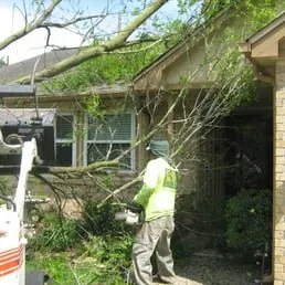 Reliable yard cleanup service in Houston, TX by Jones Road Tree Service