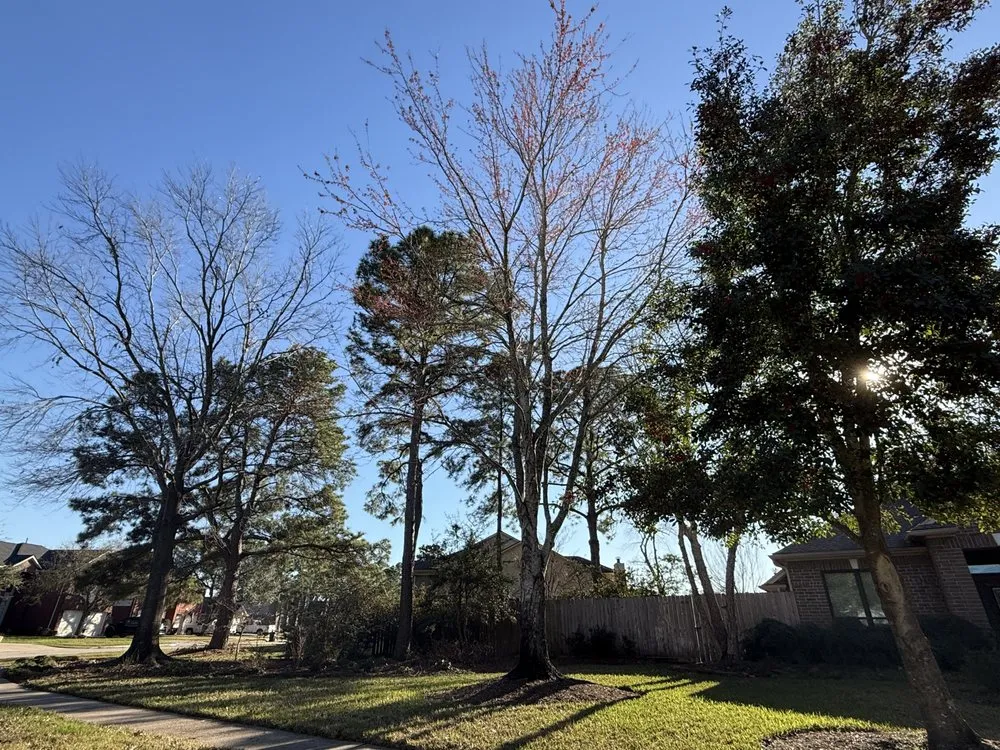 Custom landscape design with custom design across Houston, TX - Jones Road Tree Service