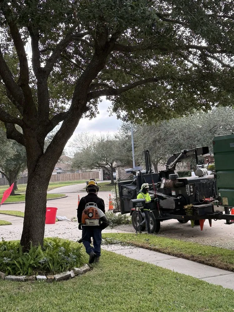Professional landscape installation in Houston, TX - Jones Road Tree Service