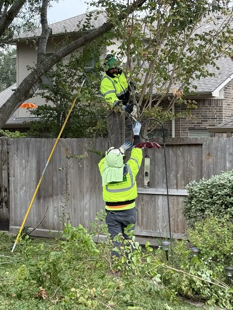 Local residential landscaping in Houston, TX by Jones Road Tree Service