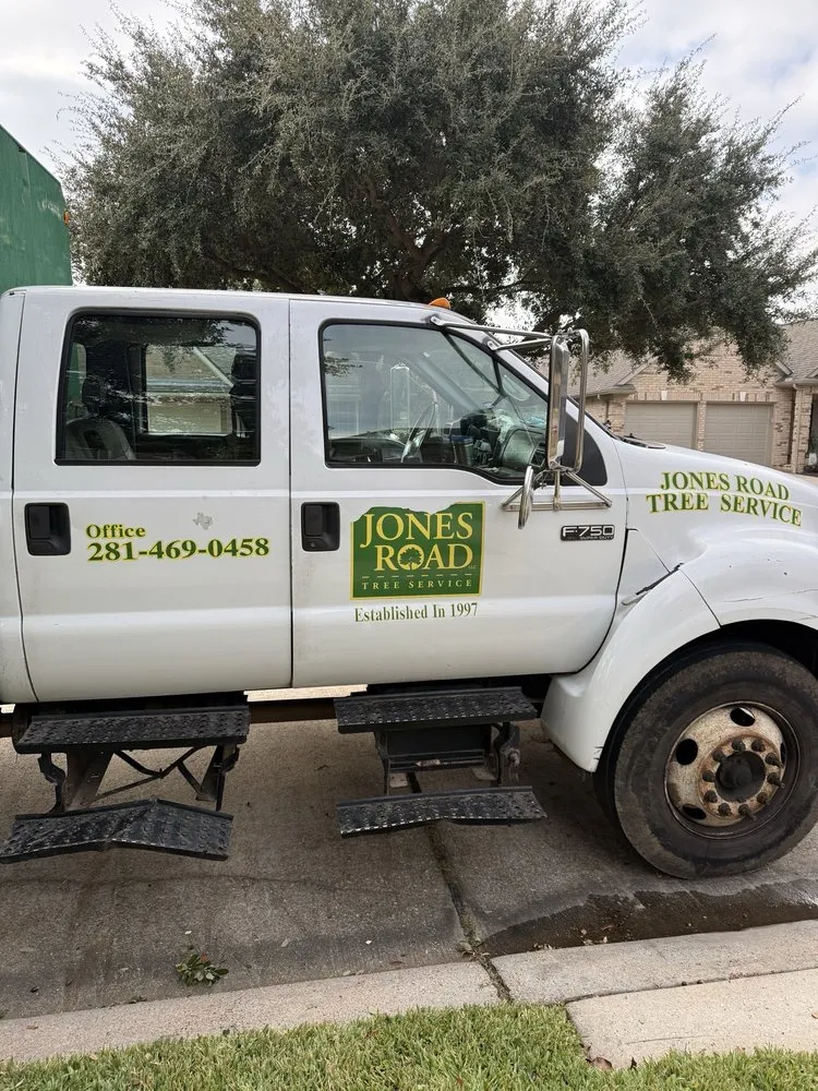 Top-rated lawn care service for beautiful yards in Houston, TX by Jones Road Tree Service