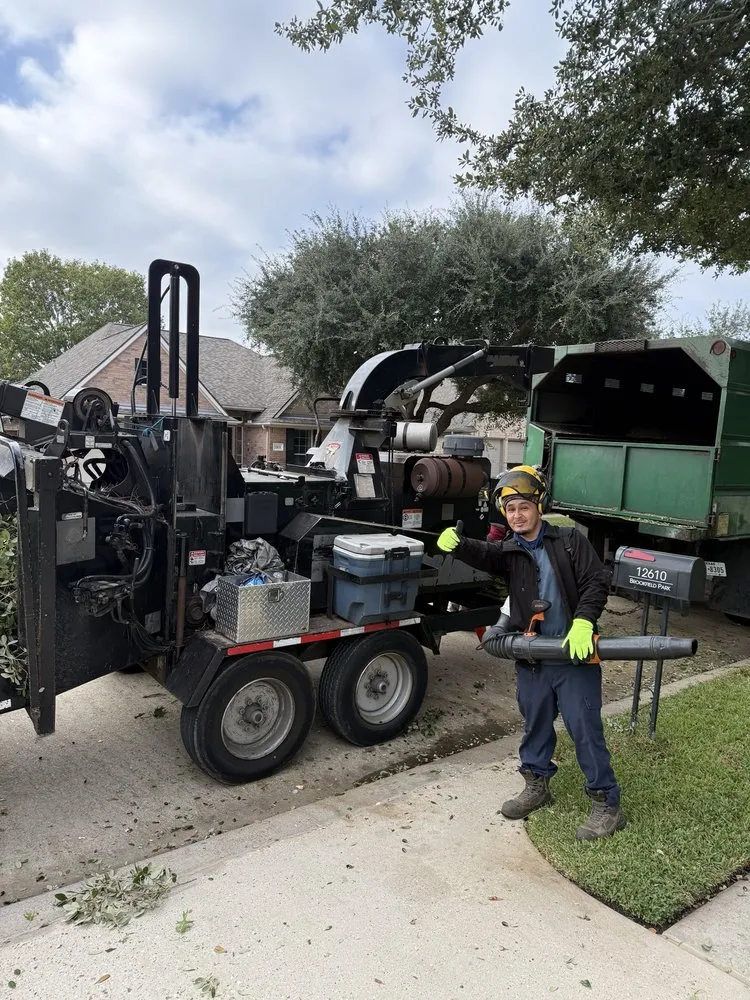 Affordable landscape design for beautiful yards in Houston, TX by Jones Road Tree Service