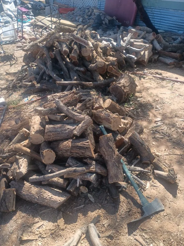 Trusted lawn care service for homes across Marana, AZ - Jones Services