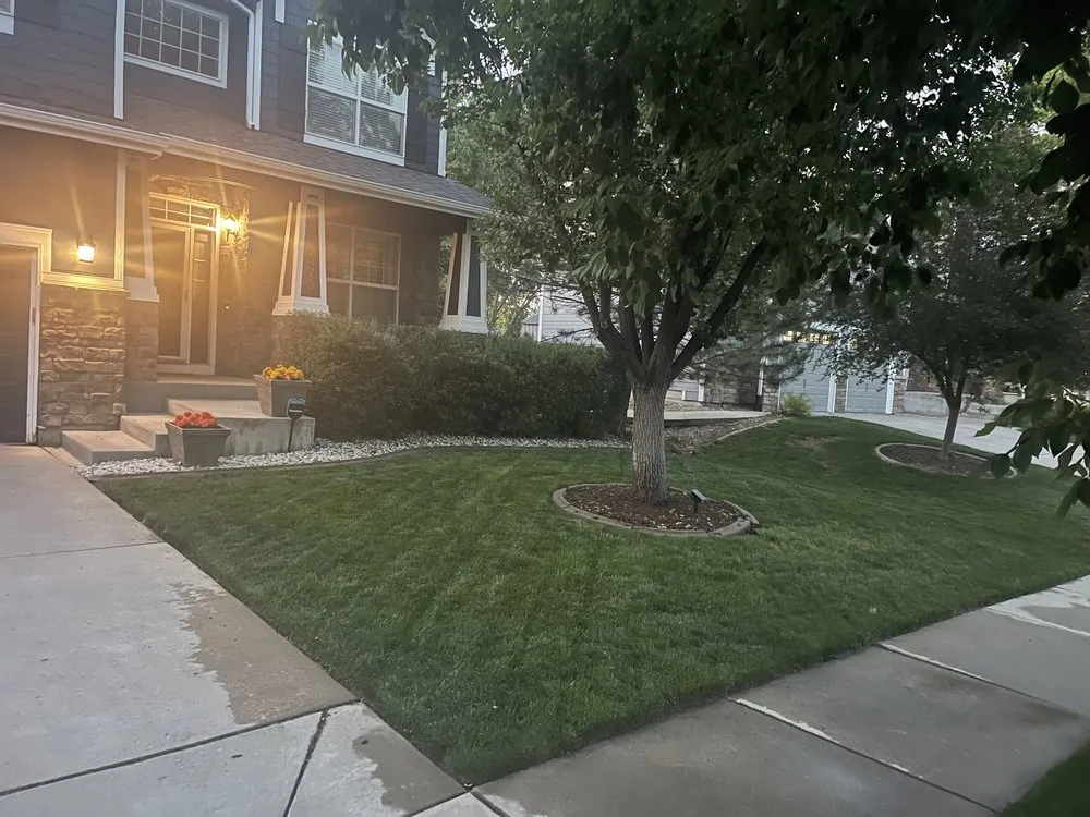 Expert yard cleanup service in Centennial, CO by Jones' Sprinkler Solutions