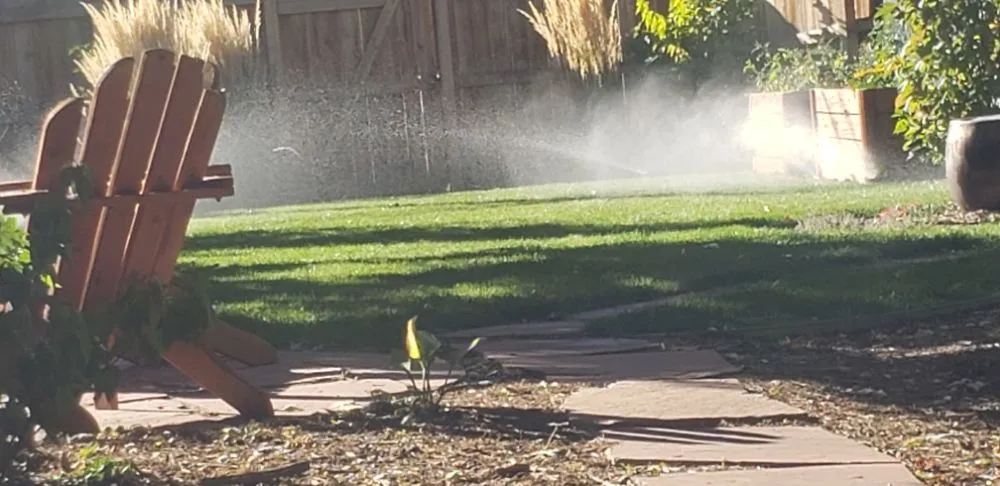 Expert yard cleanup service in Centennial, CO - Jones' Sprinkler Solutions