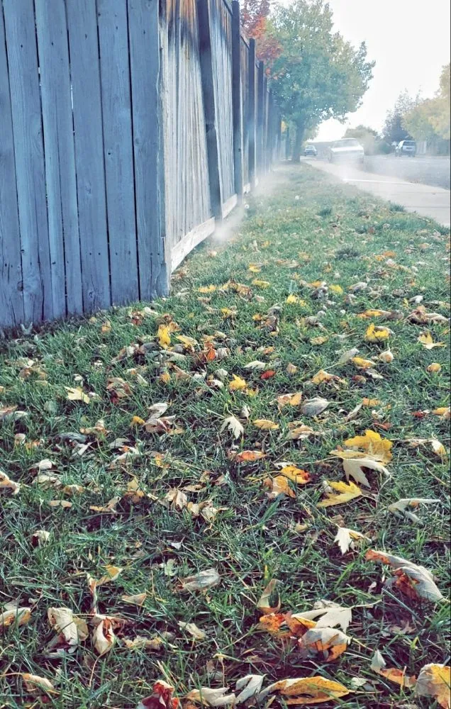 Reliable residential landscaping with custom design in Centennial, CO by Jones' Sprinkler Solutions