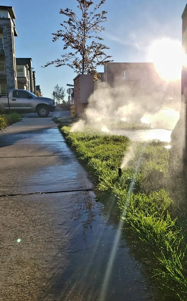 Top-rated residential landscaping experts serving Centennial, CO - Jones' Sprinkler Solutions