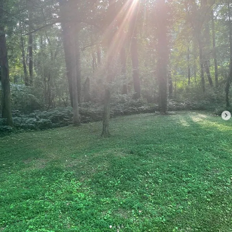 Top-rated landscape installation in Cullowhee, NC by Jones Supreme Services