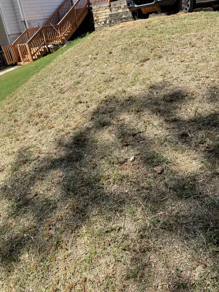 Affordable outdoor landscaping for residential properties in Cullowhee, NC by Jones Supreme Services