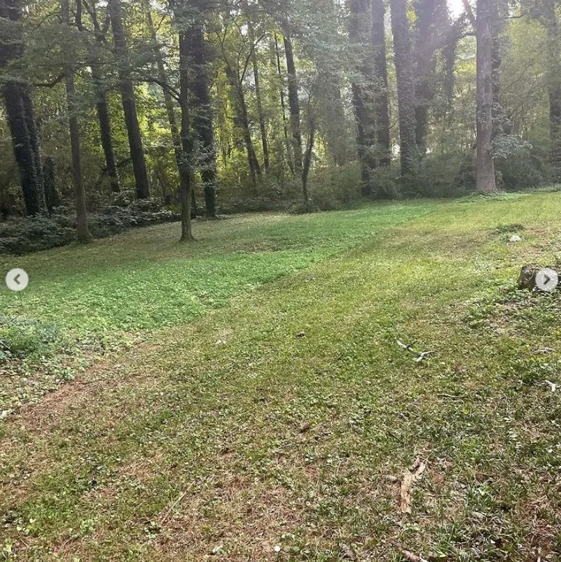 Expert outdoor landscaping experts serving Cullowhee, NC - Jones Supreme Services