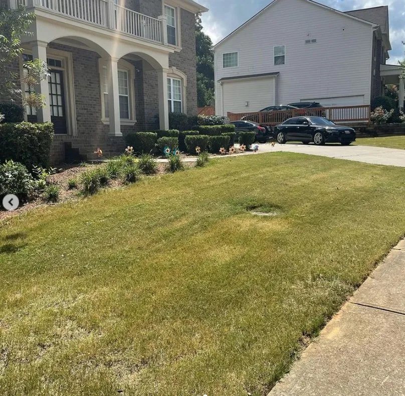 Top-rated lawn care service experts serving Cullowhee, NC - Jones Supreme Services