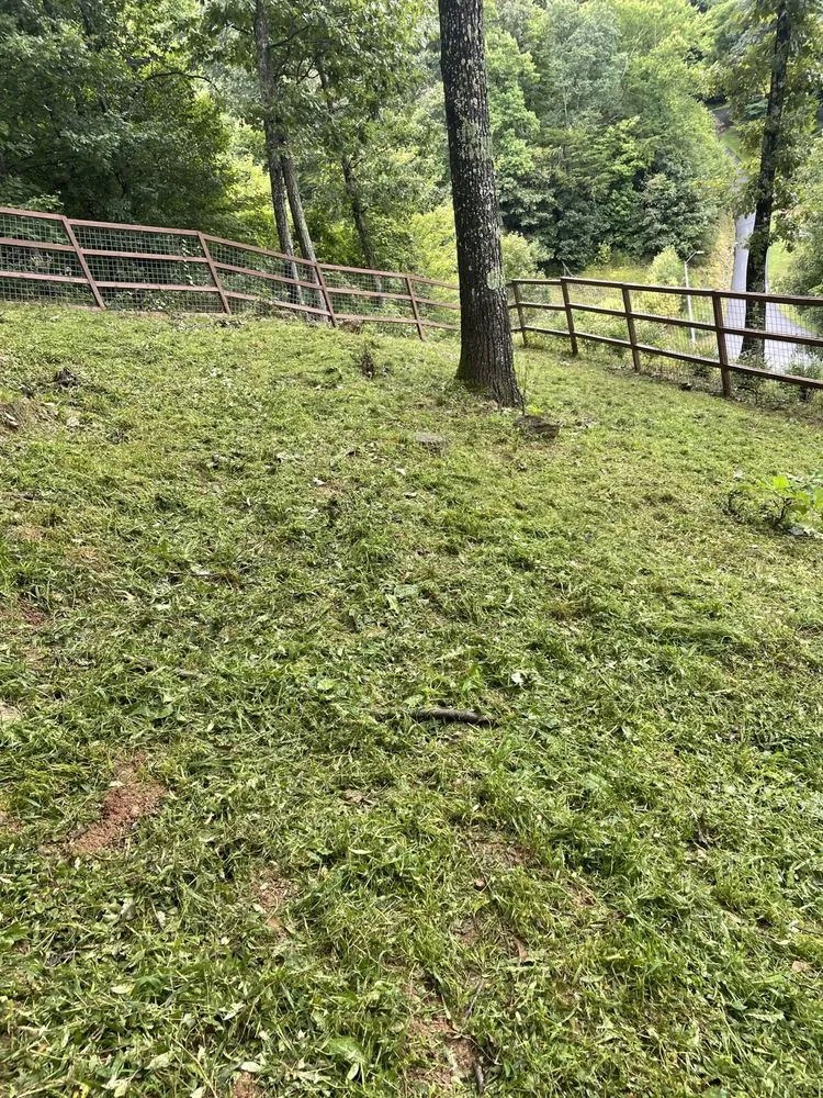 Custom yard maintenance experts serving Cullowhee, NC - Jones Supreme Services