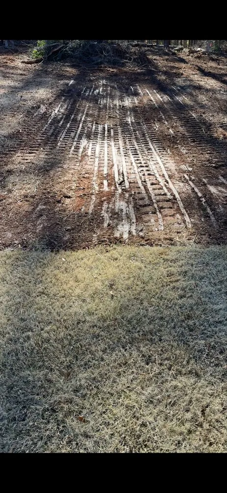 Professional yard maintenance experts serving Winder, GA - Jones Taylor Land Services