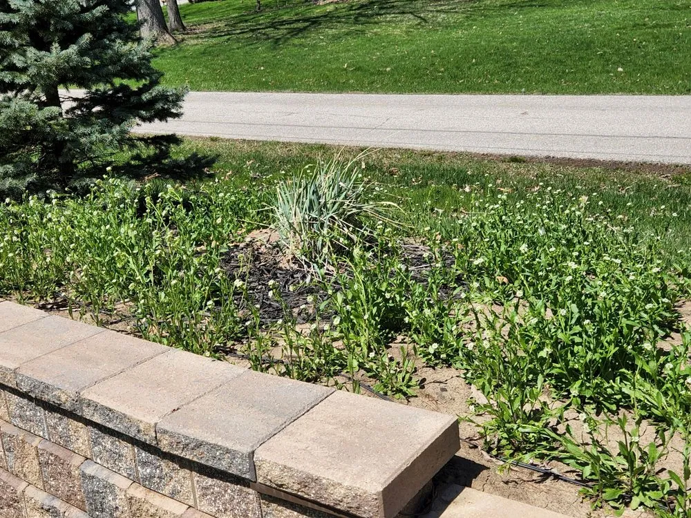 Professional landscaping services in Columbus, OH by Jones Topsoil